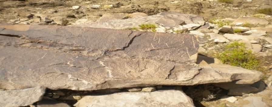 الشرعي سحار 2